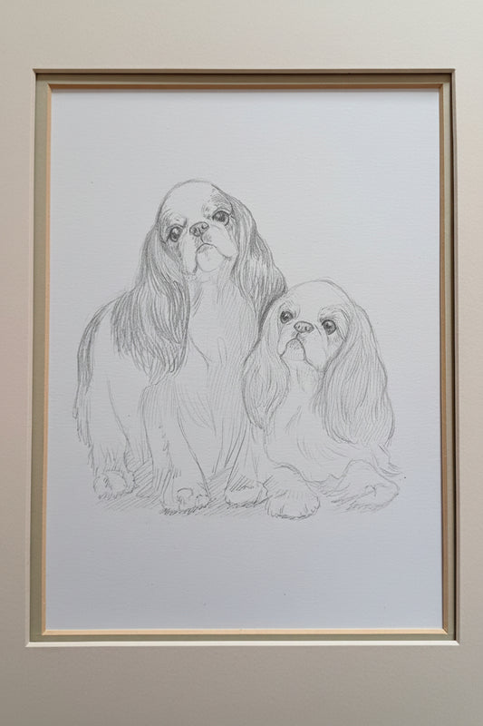 Original Pencil Sketch of English Toy Spaniels / King Charles Spaniel
