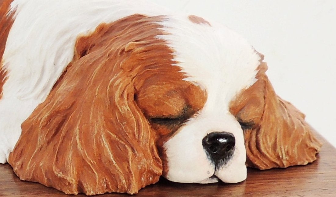 Cavalier King Charles Spaniel Solid Wood Cremation Urn